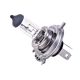 CARDOS - ŽÁROVKA - HALOGEN H4 12V 60/55W P43T