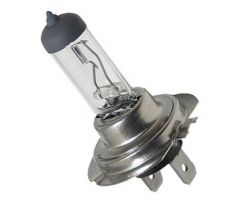 CARDOS - ŽÁROVKA - HALOGEN H7 12V 55W PX26D