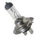 CARDOS - ŽÁROVKA - HALOGEN H7 12V 55W PX26D