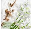 K2 CAYON 250ml - White Flowers - osvěžovač vzduchu